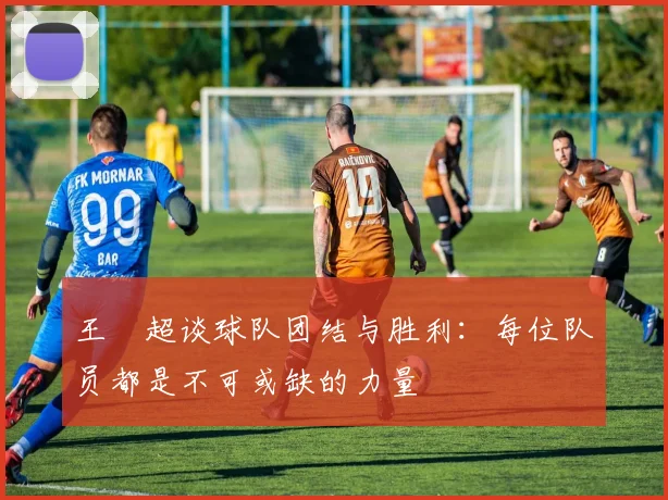 王燊超谈球队团结与胜利：每位队员都是不可或缺的力量