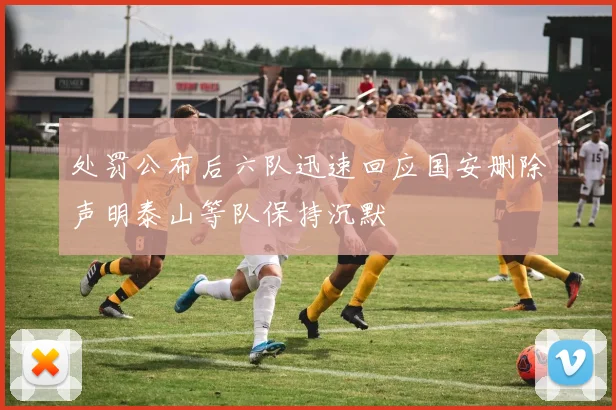 处罚公布后六队迅速回应国安删除声明泰山等队保持沉默
